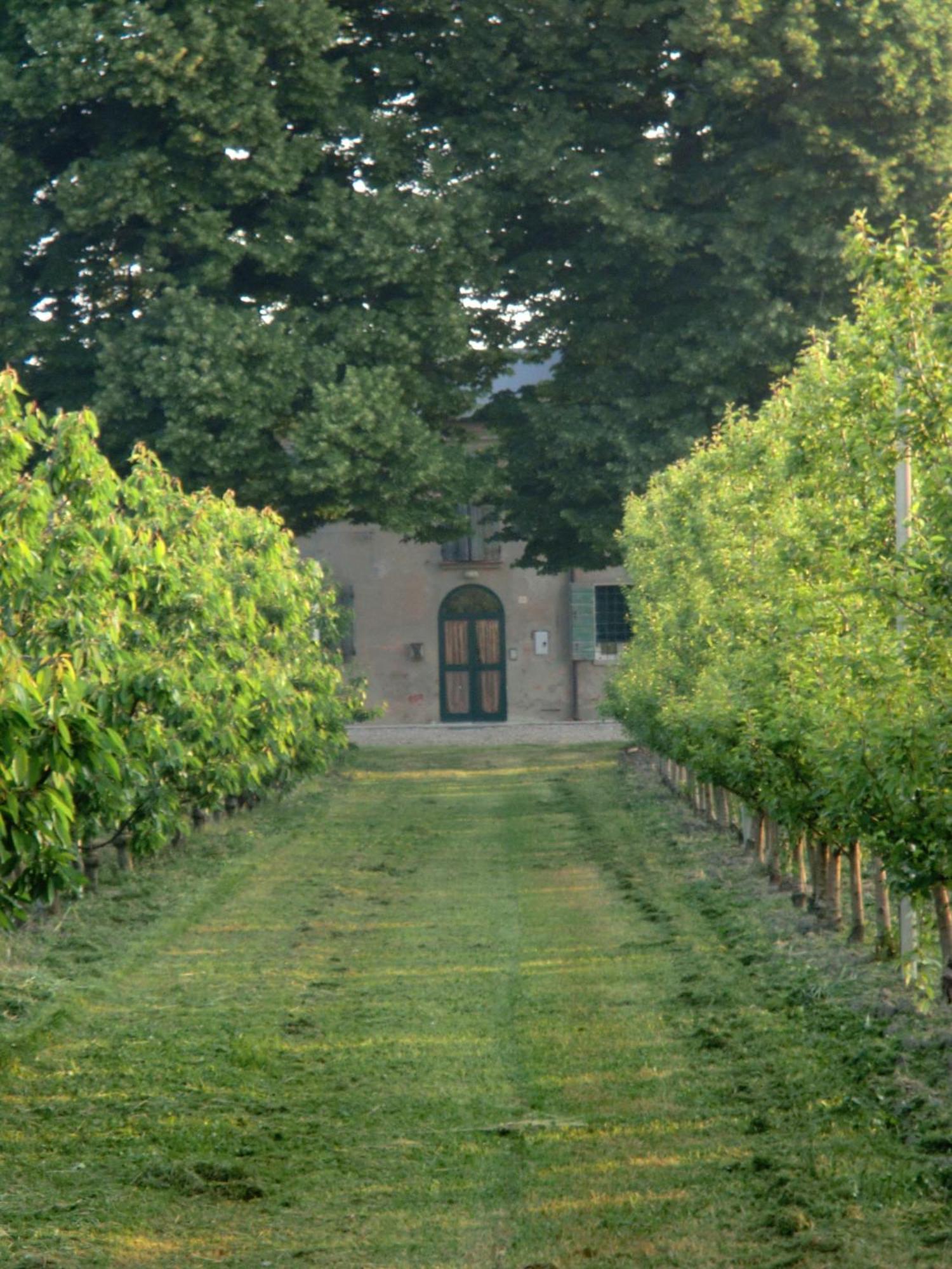פררה Agriturismo Alla Casella מראה חיצוני תמונה
